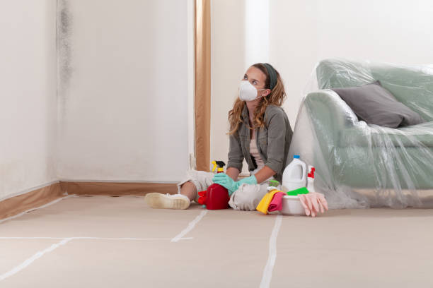 Reliable Mold Inspection contractor in Austin, TX by WQB Mold Removal